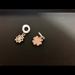 Pandora Charms